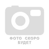 NORD OIL Антифриз G12 красный -40 (1кг) NRA012