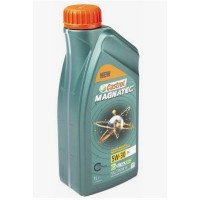 Масло моторное Castrol Magnatec 5W-30 DX (1л) 15CCA6